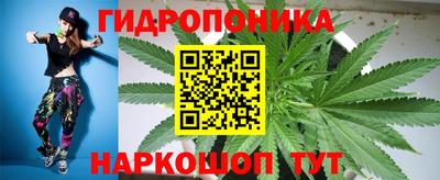хмурый Шелехов
