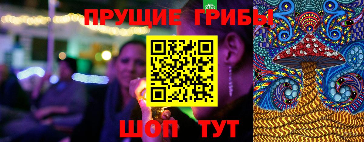 Псилоцибиновые грибы прущие грибы Асино